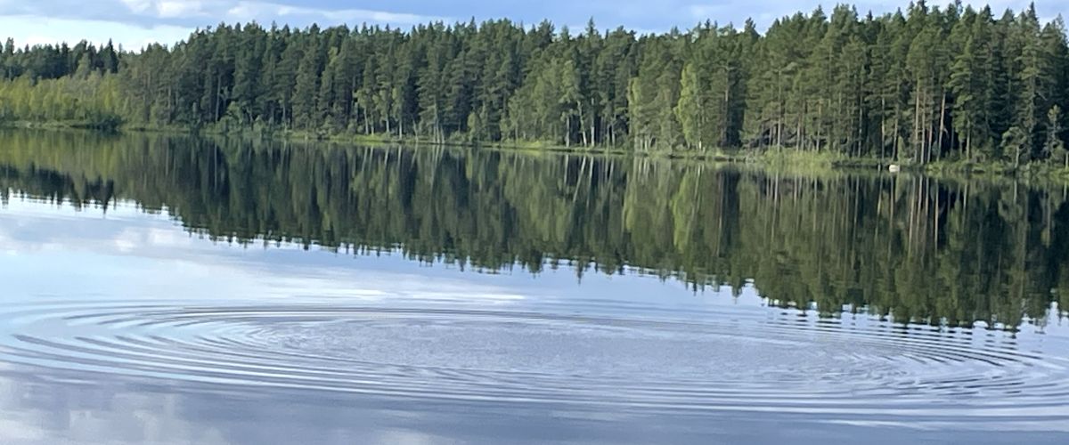 Medskogsjön